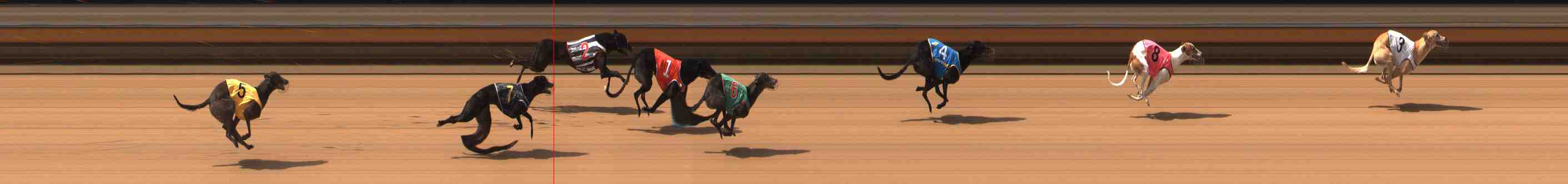 Photo finish for Warrnambool Race 7