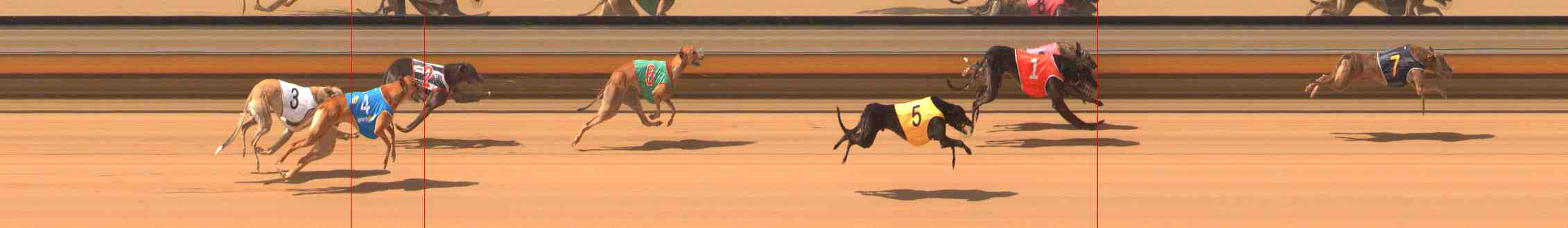Photo finish for Warrnambool Race 8