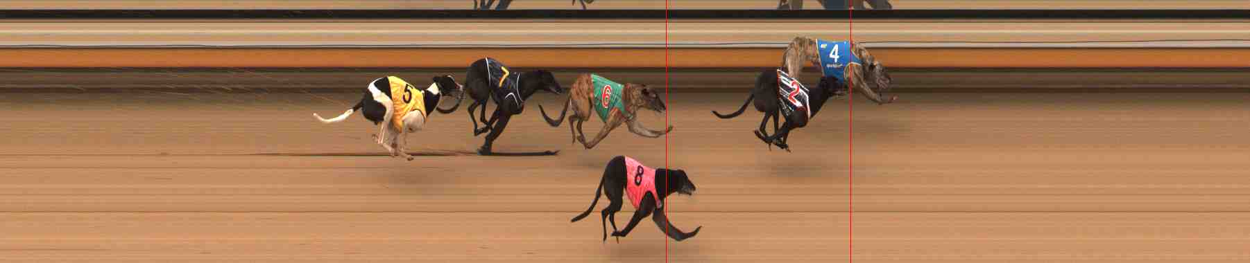 Photo finish for Warrnambool Race 9