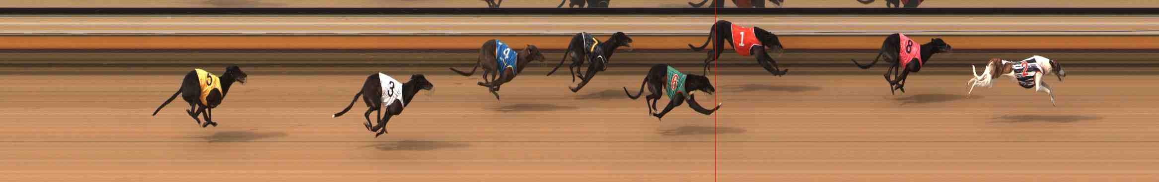 Photo finish for Warrnambool Race 10