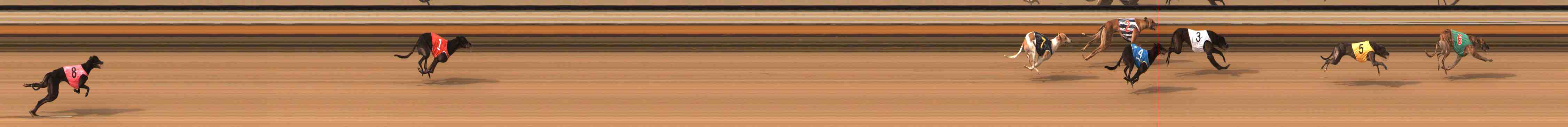 Photo finish for Warrnambool Race 11