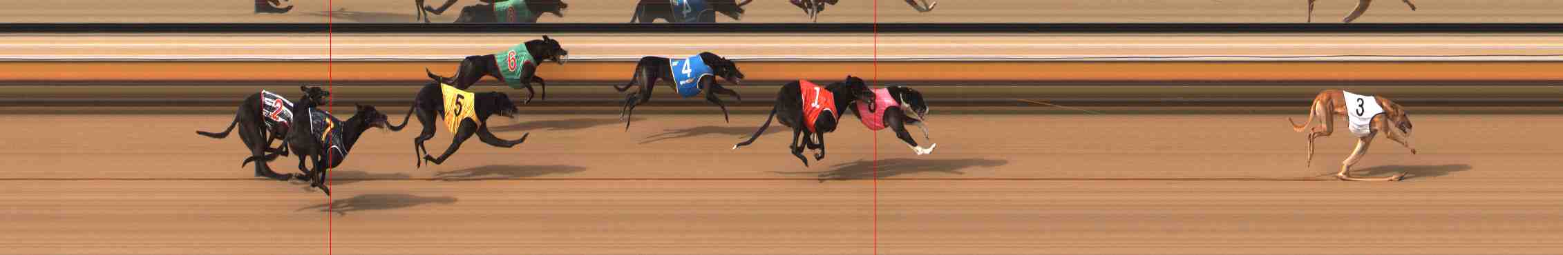 Photo finish for Warrnambool Race 12