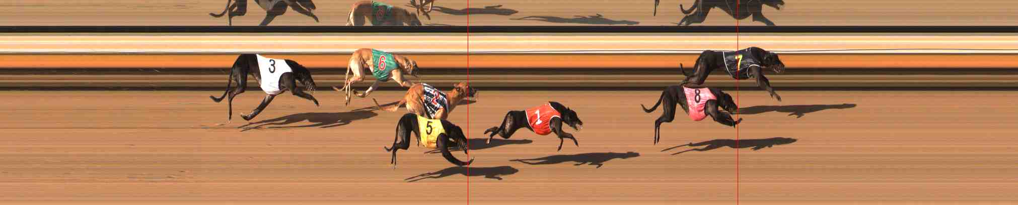 Photo finish for Warrnambool Race 13