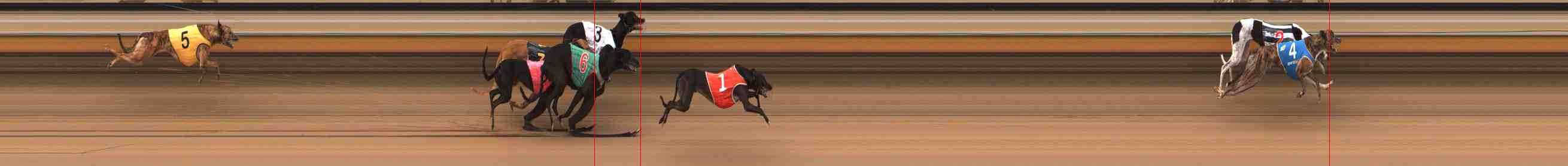 Photo finish for Warrnambool Race 3