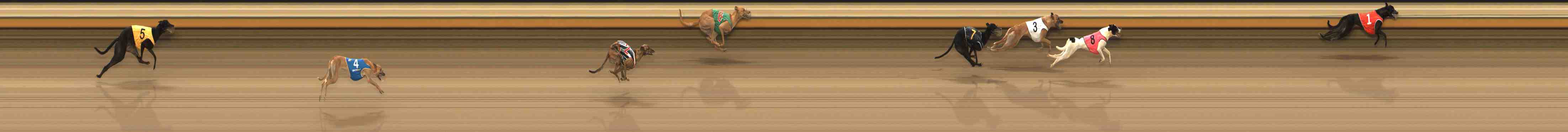 Photo finish for Warrnambool Race 5