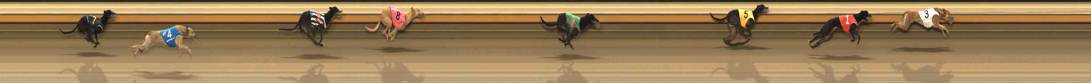Photo finish for Warrnambool Race 6