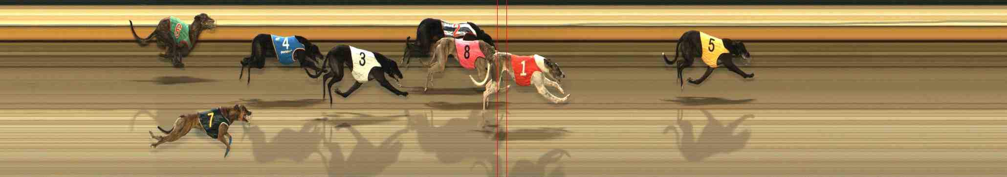 Photo finish for Warrnambool Race 7