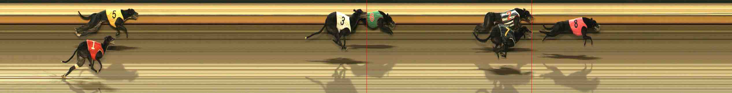 Photo finish for Warrnambool Race 8