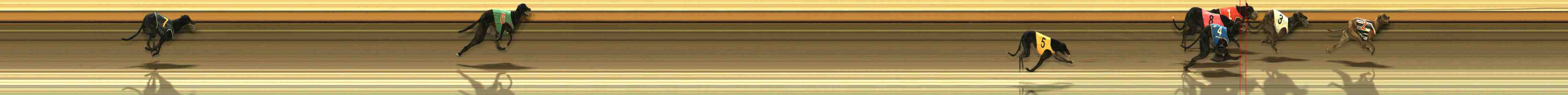 Photo finish for Warrnambool Race 10