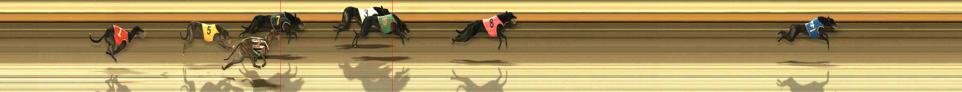Photo finish for Warrnambool Race 11