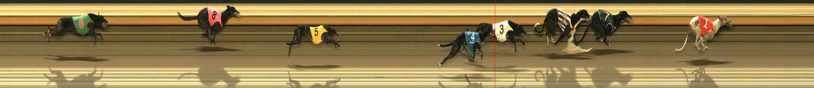 Photo finish for Warrnambool Race 12
