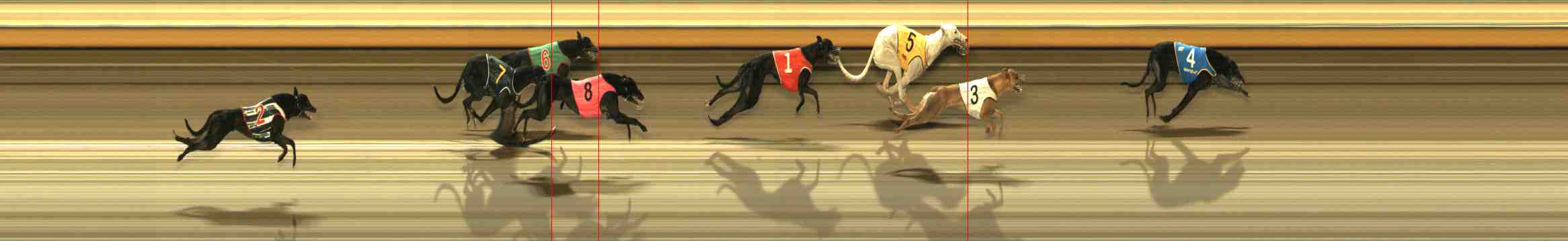 Photo finish for Warrnambool Race 13