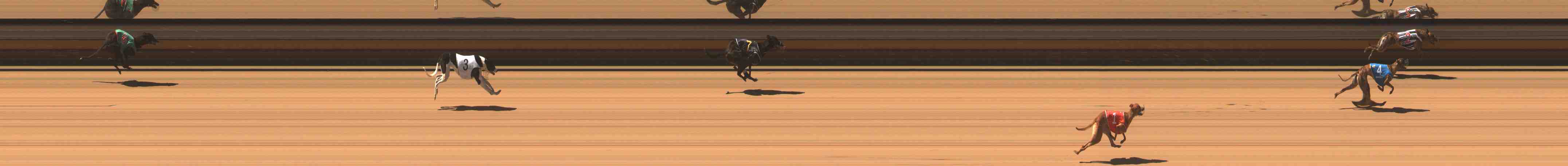 Photo finish for Warrnambool Race 1