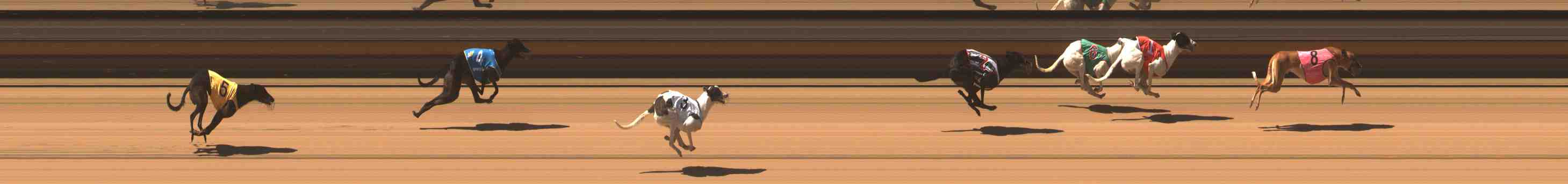 Photo finish for Warrnambool Race 2
