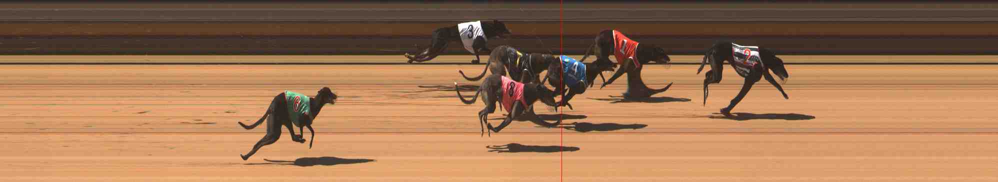 Photo finish for Warrnambool Race 3