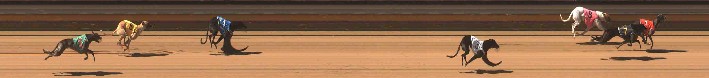 Photo finish for Warrnambool Race 4