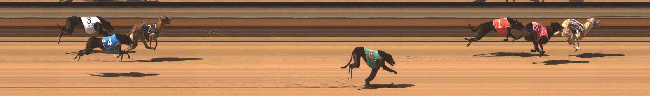Photo finish for Warrnambool Race 5