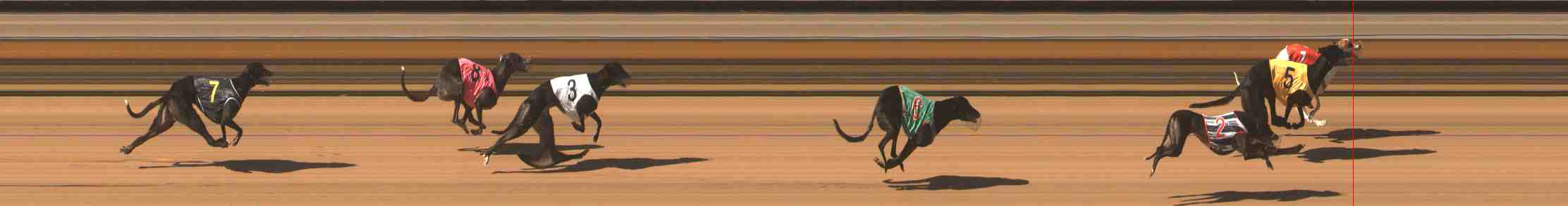Photo finish for Warrnambool Race 6