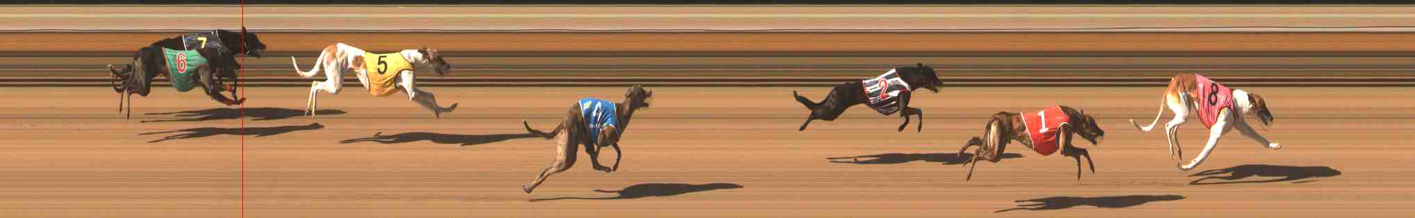 Photo finish for Warrnambool Race 7