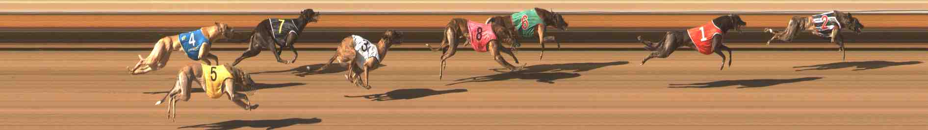 Photo finish for Warrnambool Race 8