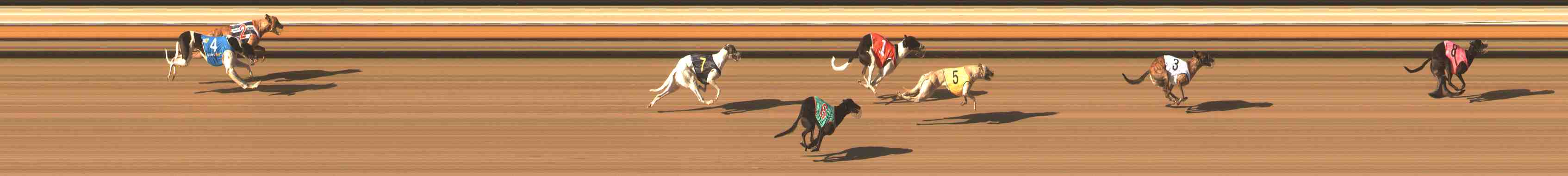Photo finish for Warrnambool Race 9