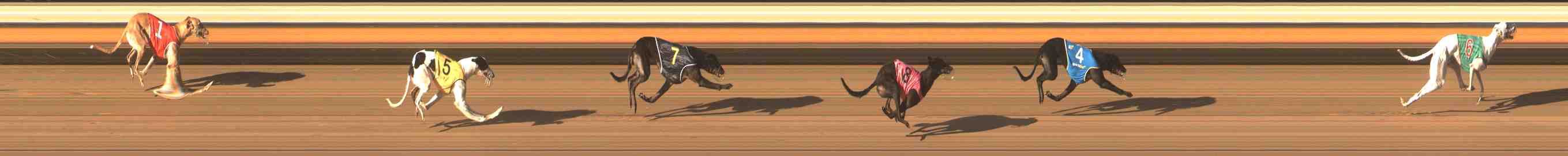 Photo finish for Warrnambool Race 10