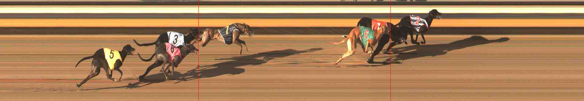 Photo finish for Warrnambool Race 11