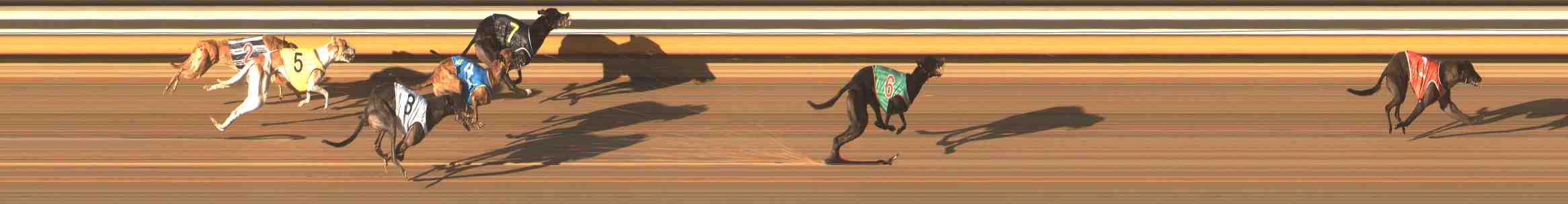 Photo finish for Warrnambool Race 12