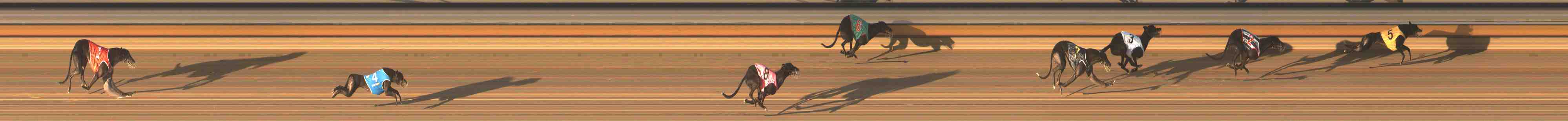 Photo finish for Warrnambool Race 13
