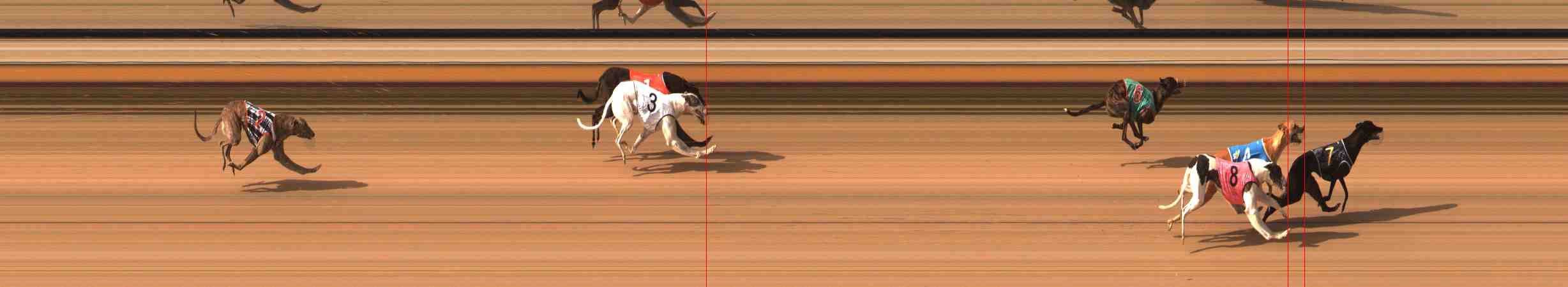 Photo finish for Warrnambool Race 1