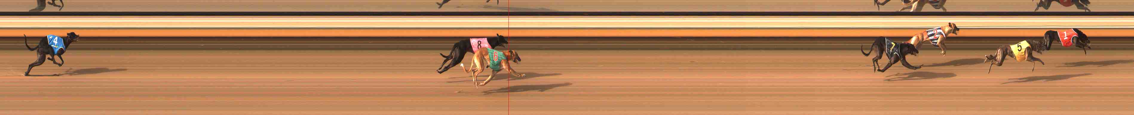 Photo finish for Warrnambool Race 3