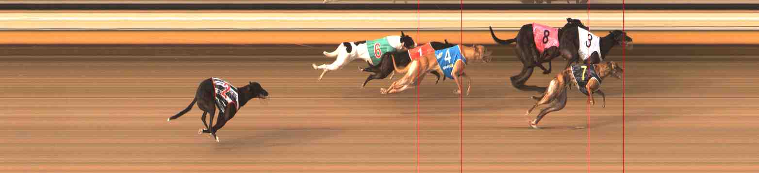 Photo finish for Warrnambool Race 4