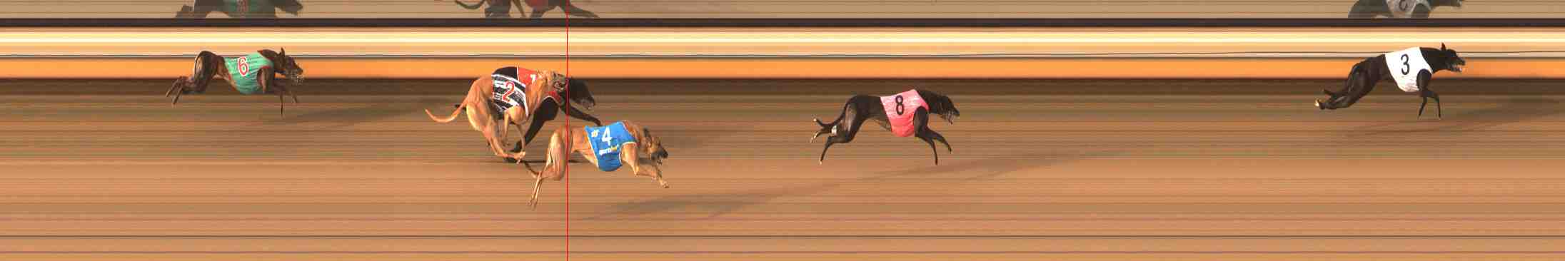 Photo finish for Warrnambool Race 5