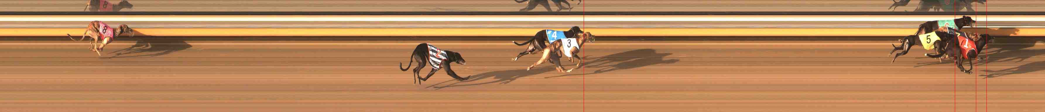 Photo finish for Warrnambool Race 6
