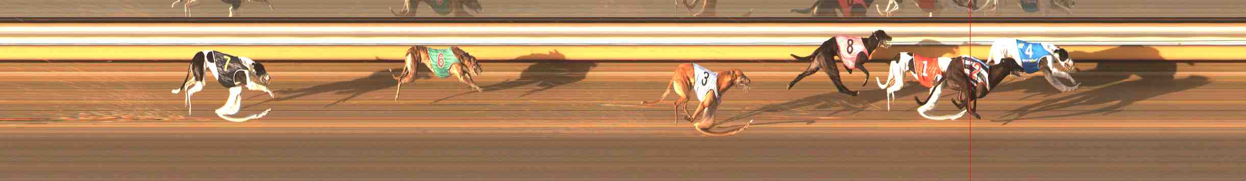 Photo finish for Warrnambool Race 7