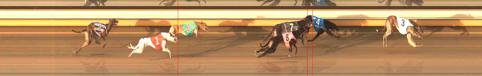Photo finish for Warrnambool Race 8