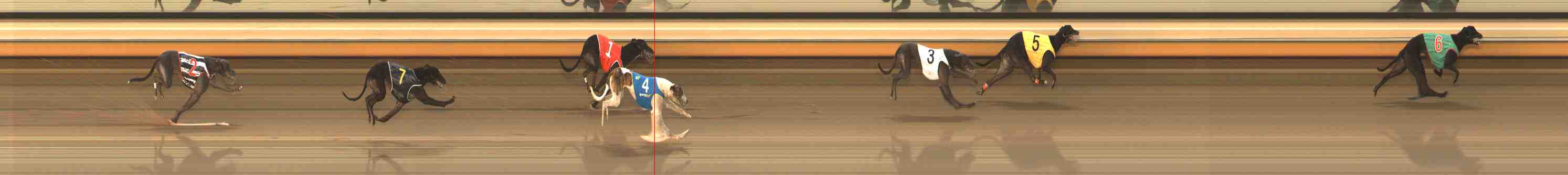 Photo finish for Warrnambool Race 9