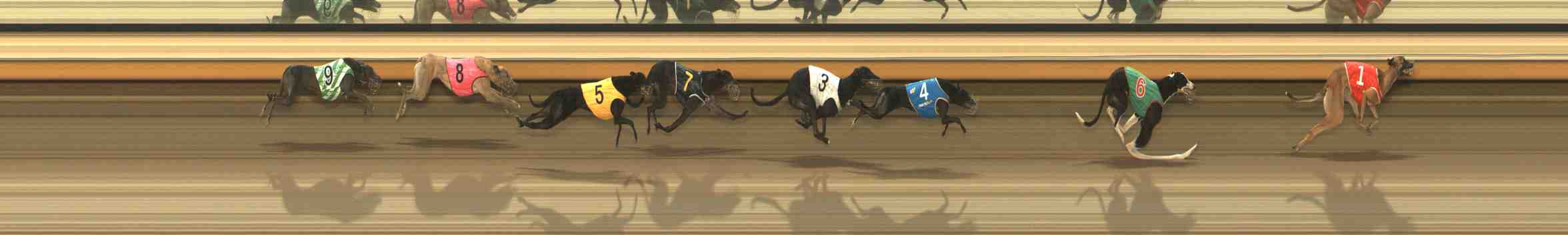 Photo finish for Warrnambool Race 10