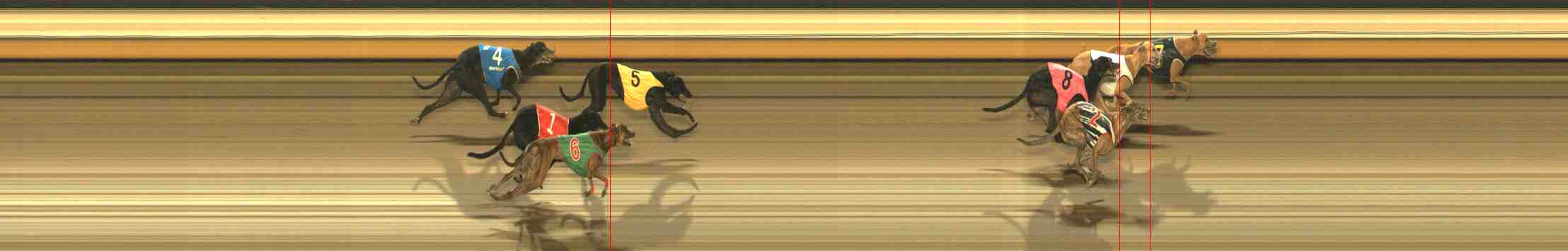 Photo finish for Warrnambool Race 11