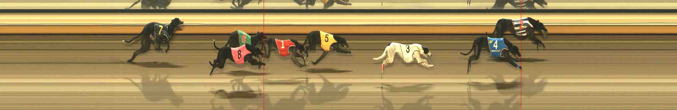 Photo finish for Warrnambool Race 12