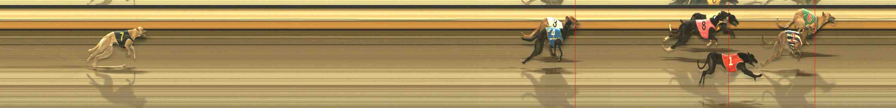 Photo finish for Warrnambool Race 13