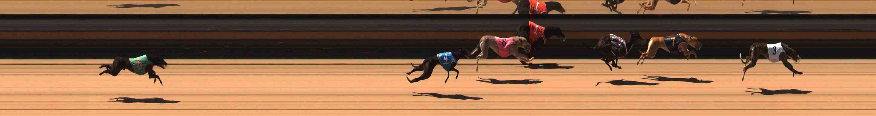 Photo finish for Warrnambool Race 1