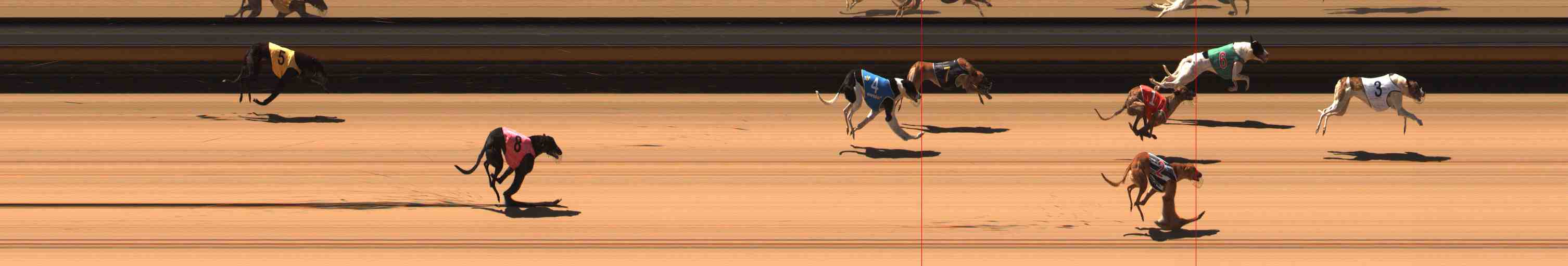 Photo finish for Warrnambool Race 2