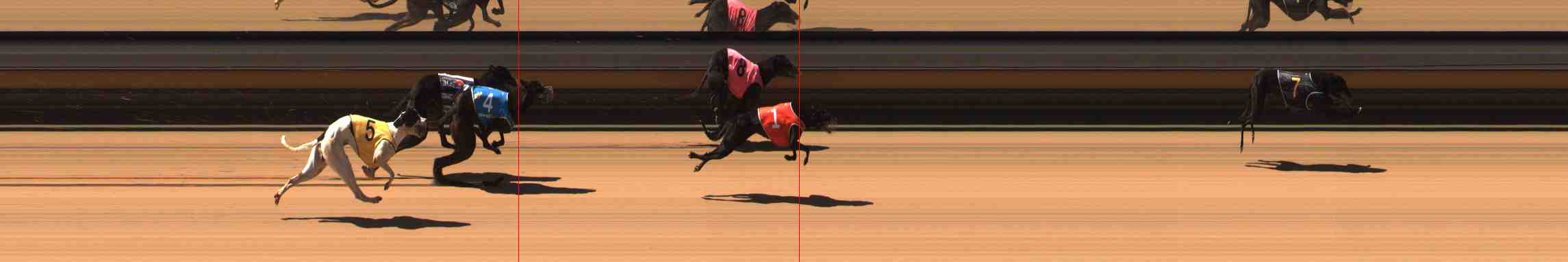 Photo finish for Warrnambool Race 3