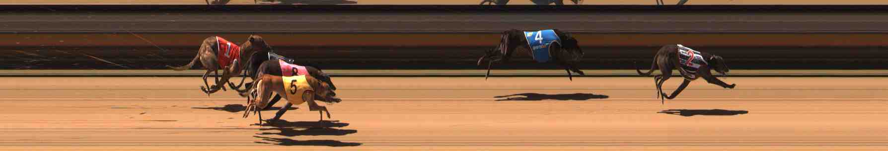 Photo finish for Warrnambool Race 4