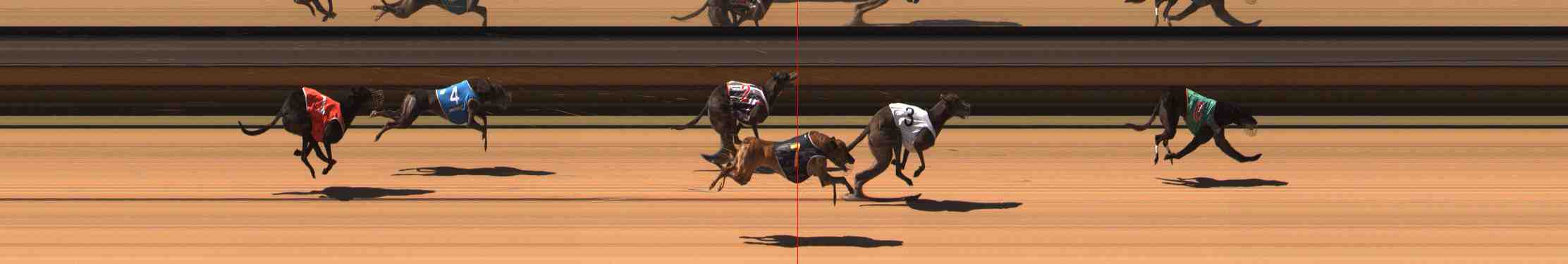 Photo finish for Warrnambool Race 5