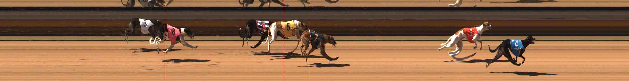 Photo finish for Warrnambool Race 6