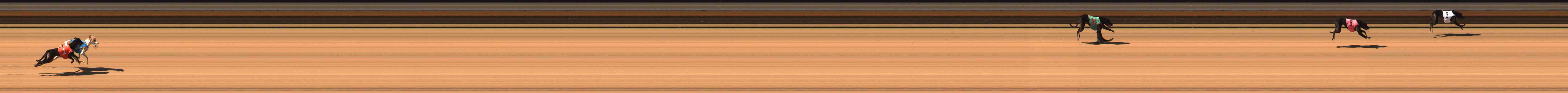 Photo finish for Warrnambool Race 7