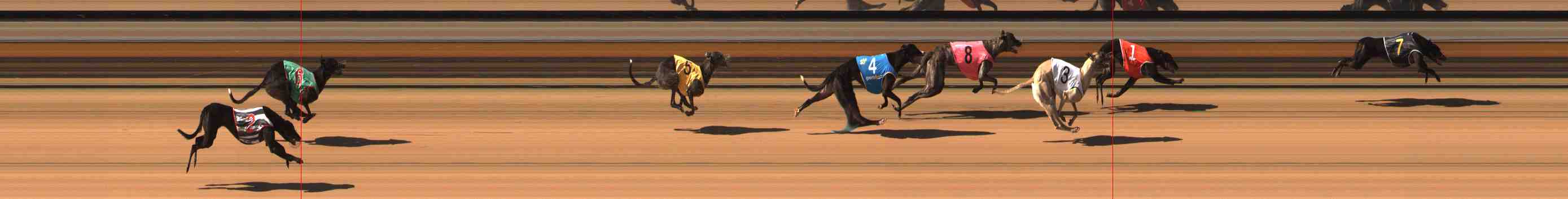 Photo finish for Warrnambool Race 8
