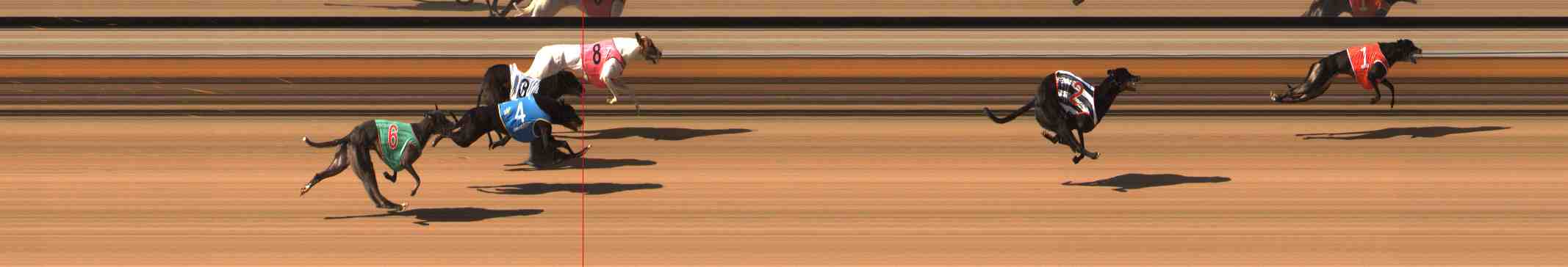 Photo finish for Warrnambool Race 9